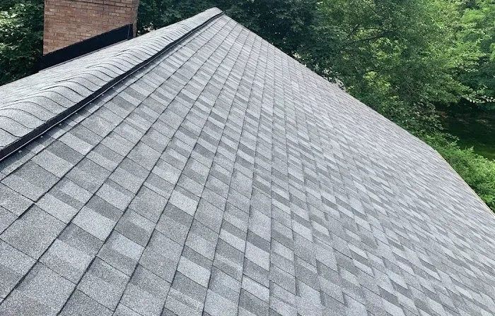 Ready Roofers Picture 2