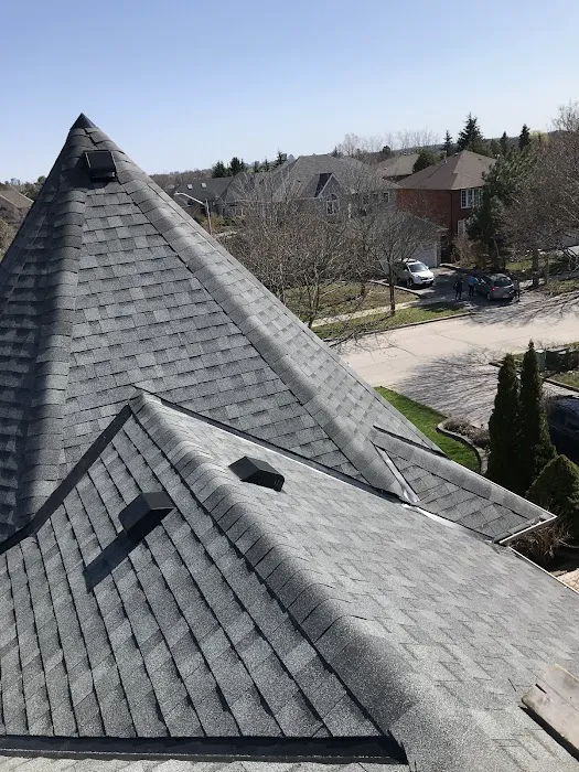 White Lightning Steep Roofing Picture 1