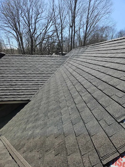 Real Steel Roofing Picture 6