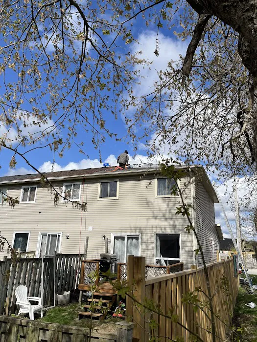 DNM Roofing Picture 8