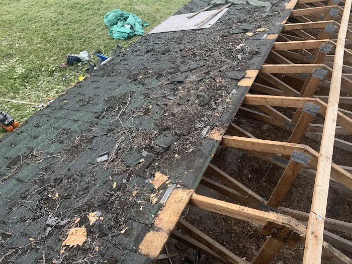 Exquisite roofing Picture 4