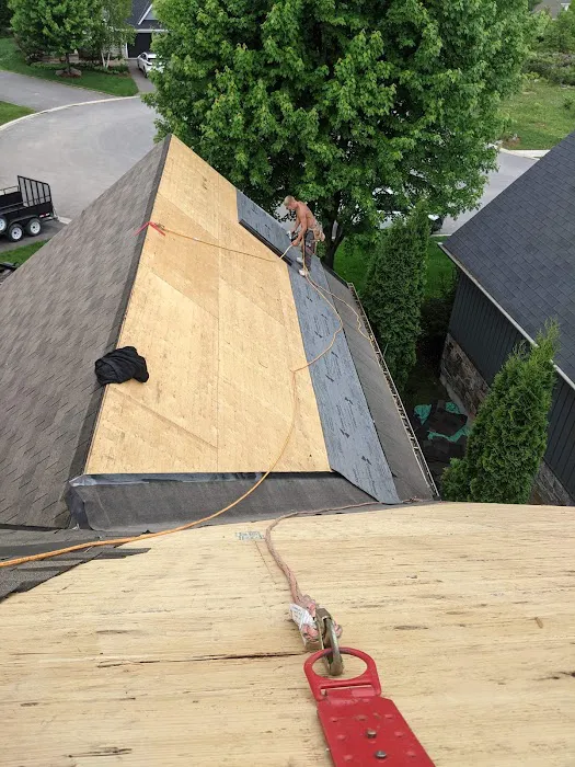 Exquisite roofing Picture 3