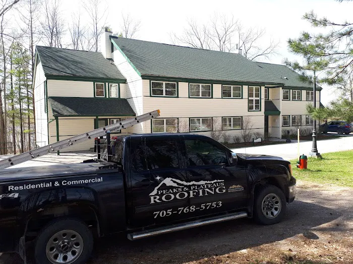 Peaks & Plateaus Roofing Picture 4