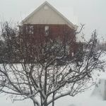 Raymond & Associates Roofing Inc