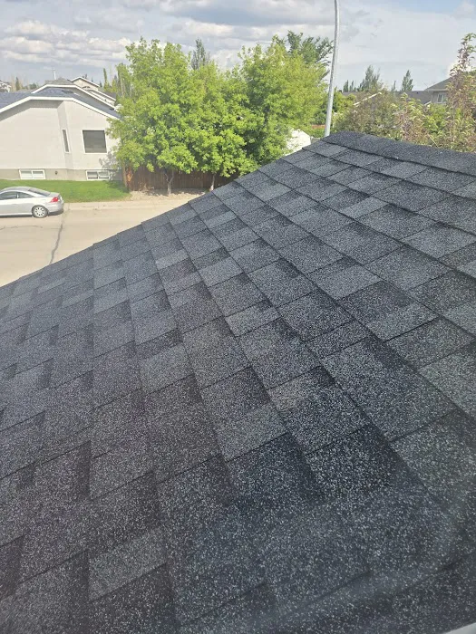 SW Roofing Picture 1