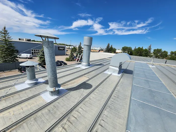 AAA MAXIMUM Roofing Picture 6