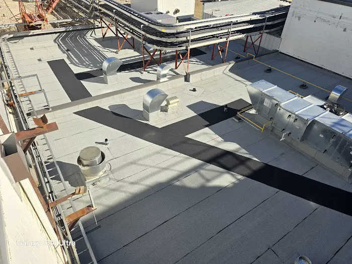 AAA MAXIMUM Roofing Picture 7