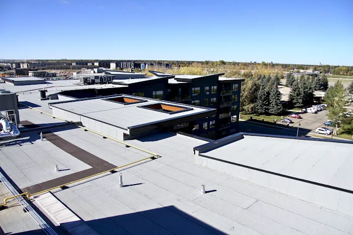 Haid Roofing Ltd Picture 7