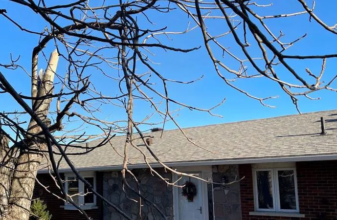 Sanderson Roofing Picture 5