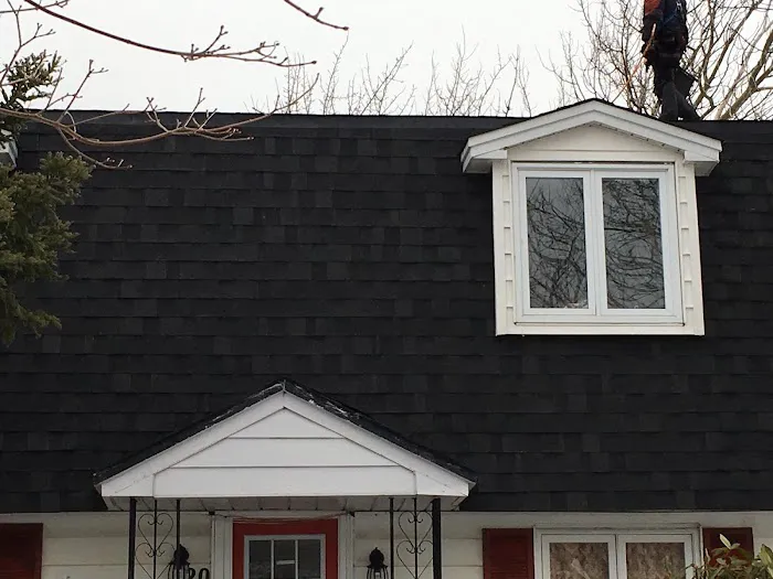 Astro Roofing Picture 8