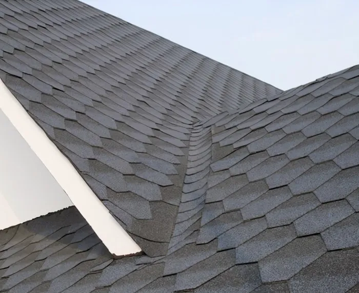 ABC roof service Picture 1