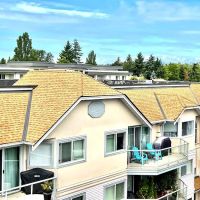 Pacific moss control ico