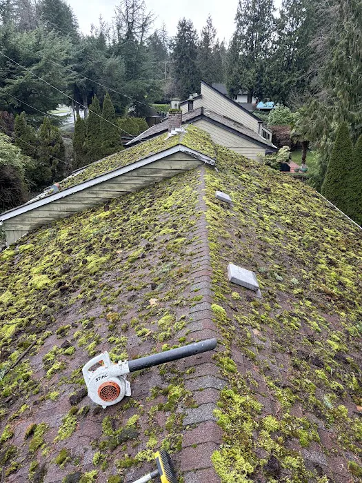 Pacific moss control Picture 8