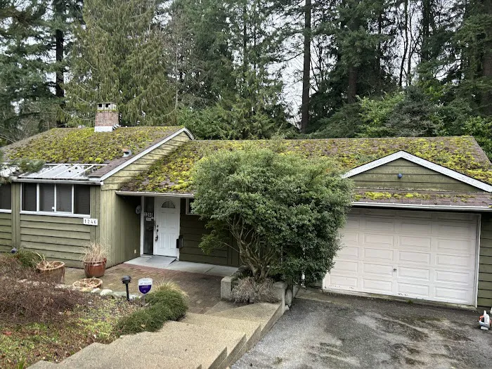Pacific moss control Picture 6