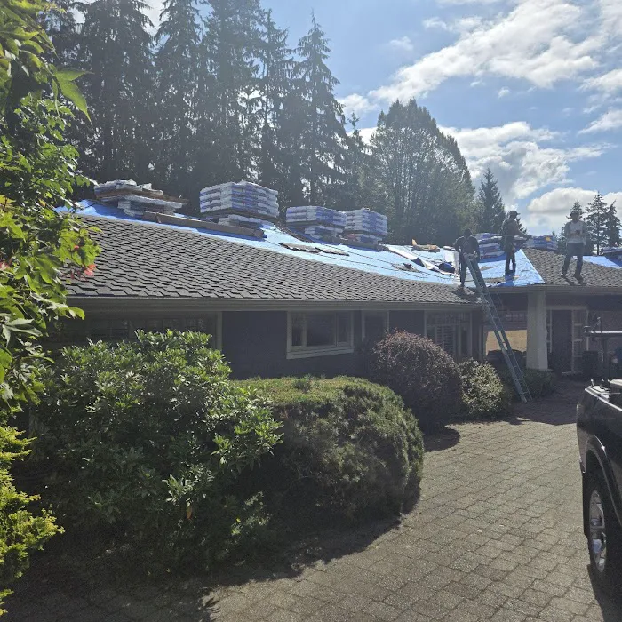 Absolute Roof Solutions Picture 10