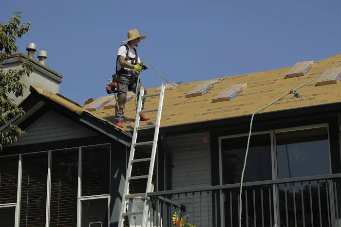 Absolute Roof Solutions Picture 2