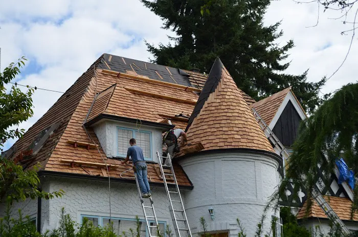 Absolute Roof Solutions Picture 3