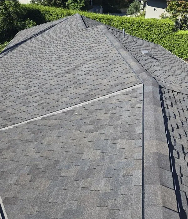 Absolute Roof Solutions Picture 9