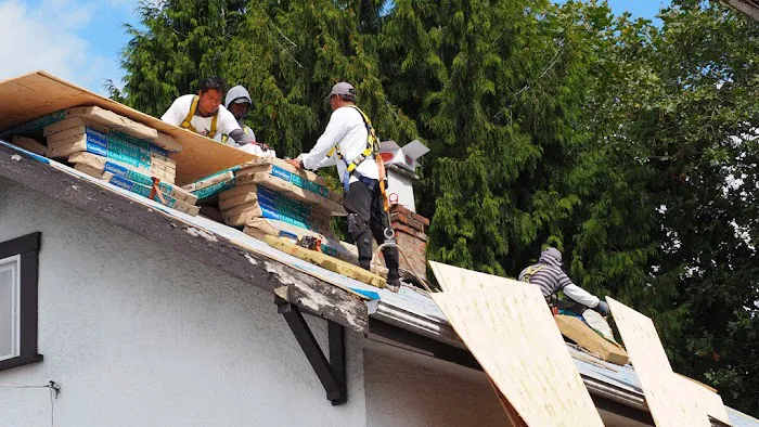 Absolute Roof Solutions Picture 4