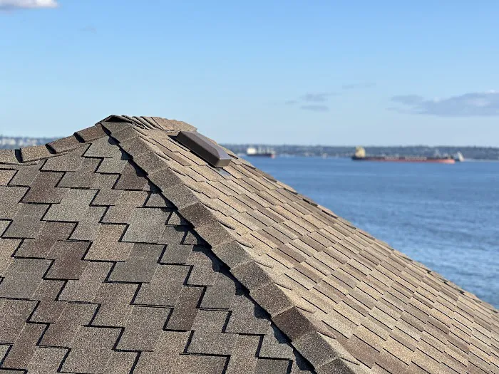Regan Roofing Ltd Picture 6
