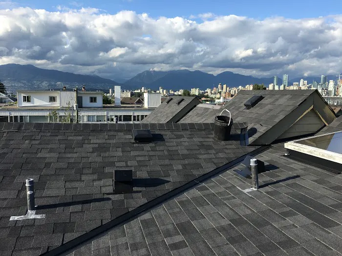 Regan Roofing Ltd Picture 10