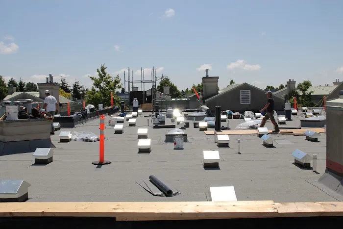 Roy Dennis Roofing Picture 1
