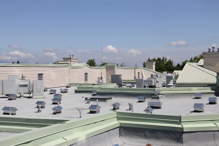 Roy Dennis Roofing Picture 10