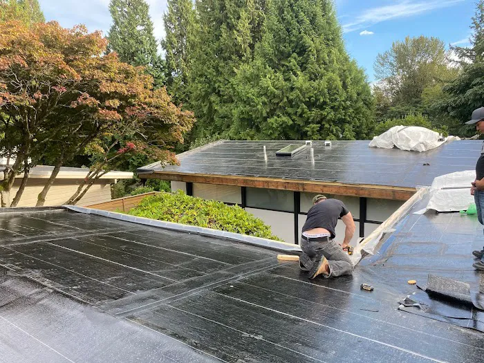 Max Roofing (virtual location) Picture 1