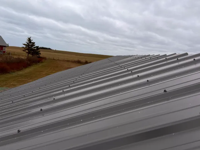 TopClad Metal Roofing Picture 3