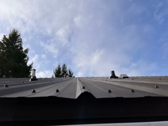 TopClad Metal Roofing Picture 1