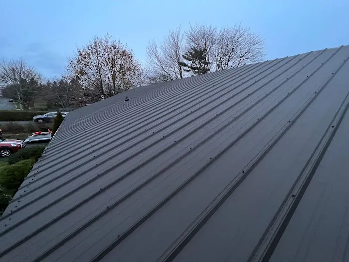 TopClad Metal Roofing Picture 2