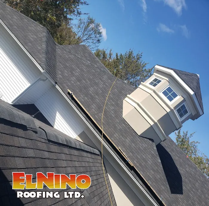 El Nino Roofing Ltd Picture 3
