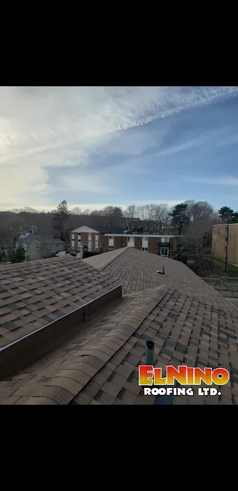 El Nino Roofing Ltd Picture 5