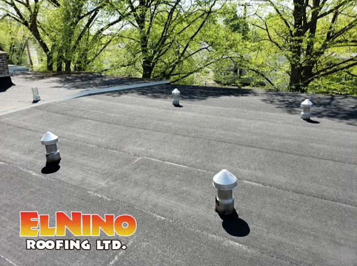 El Nino Roofing Ltd Picture 7