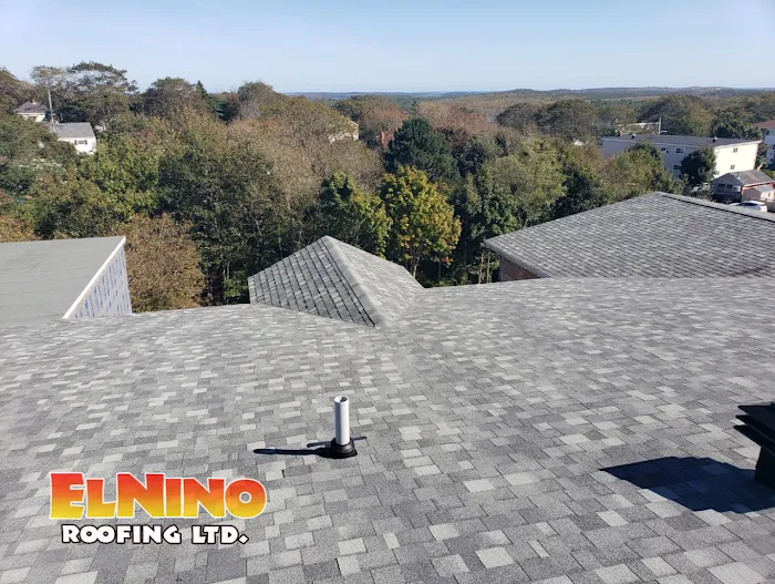 El Nino Roofing Ltd Picture 10