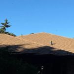Brother's Roofing