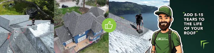OK Roof Revival Picture 10