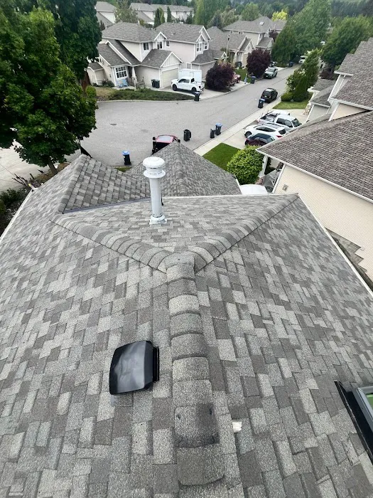 Credo roofing Picture 2