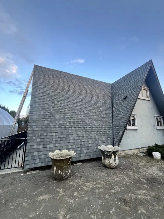 Credo roofing Picture 5