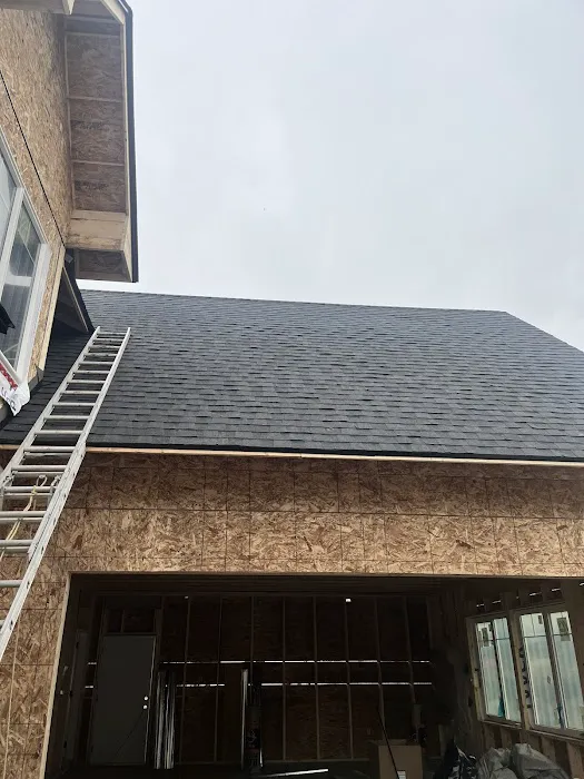 Credo roofing Picture 3