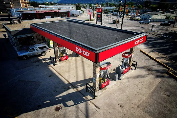 Premium Roofing Ltd. Picture 6