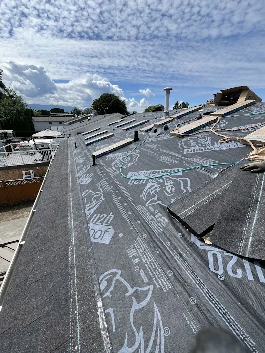 Osland Roofing Picture 6