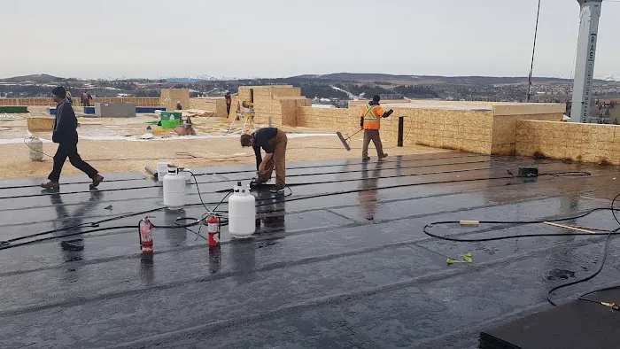 Roof Doctor Picture 7