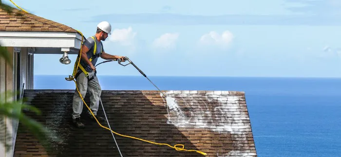 Roof Revive Canada Picture 2