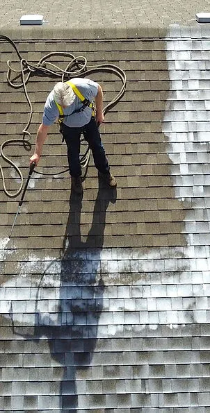 Roof Revive Canada Picture 1