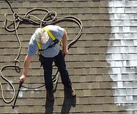Roof Revive Canada