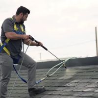 Bright Green Roof London ico