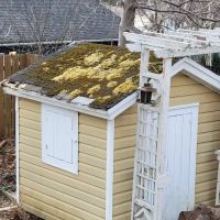 Roof Medic Ltd. ico