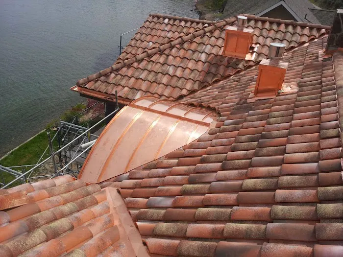 Team German Master Roofer Ltd. Picture 2