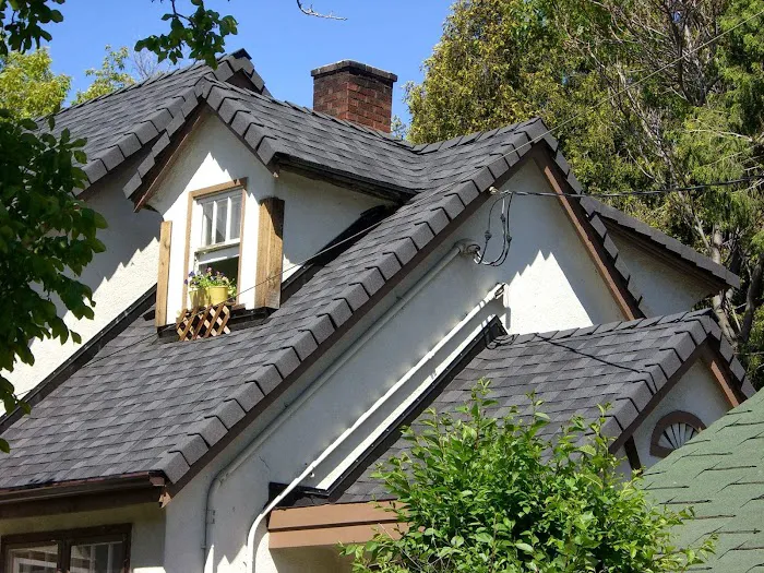 Team German Master Roofer Ltd. Picture 9